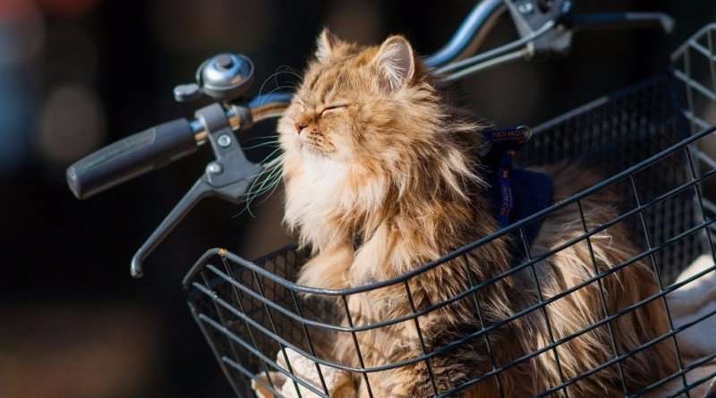 Погода у Дніпрі на п’ятницю, 2 квітня 2021 року Погода у Дніпрі на п’ятницю, 2 квітня 2021 року