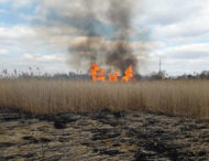 В экосистемах Днепропетровщины произошло более 600 пожаров