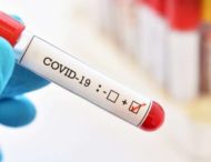 За добу в Дніпропетровській області виявили нові випадки коронавірусу