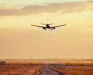 Из-за летучей мыши развернули самолет Из-за летучей мыши развернули самолет