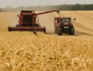 На полях Днепропетровской области собрали первый миллион тонн зерновых