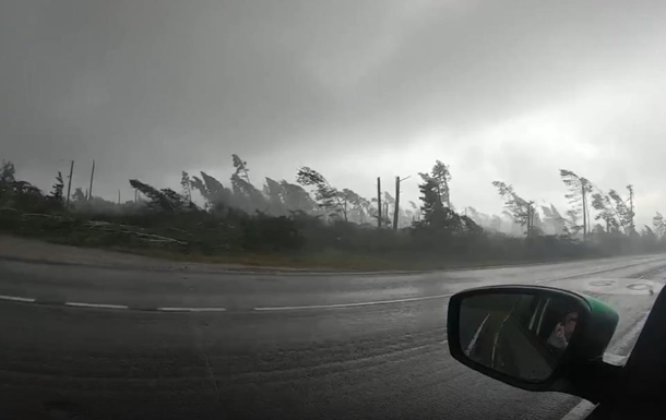 Туристы сняли видео, как ураган вырвал с корнем деревья Туристы сняли видео, как ураган вырвал с корнем деревья