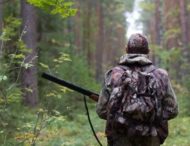 На Днепропетровщине стартует охотничий сезон: сроки, штрафы и условия охоты