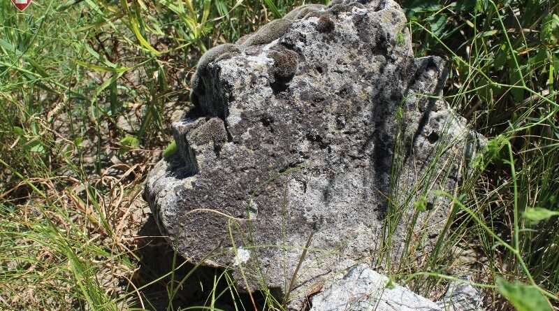 На Дніпропетровщині виявили незвичайну знахідку (фото) На Дніпропетровщині виявили незвичайну знахідку (фото)