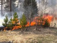 В лесах Днепропетровщины произошло 16 пожаров