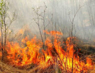 В экосистемах Днепропетровской области случается большое количество пожаров