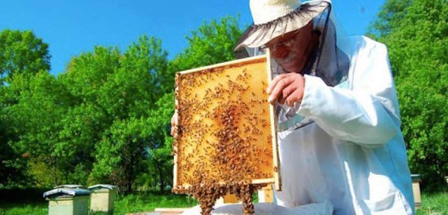 Державні дотації пасічникам Державні дотації пасічникам