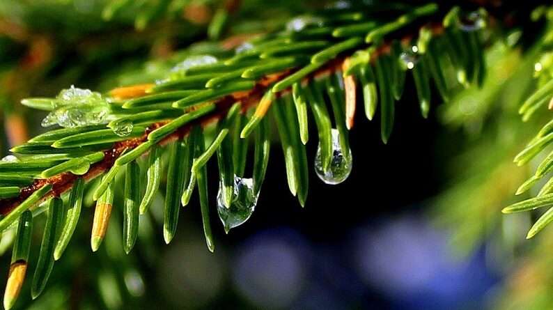 Погода у Дніпрі на суботу, 18 вересня 2021 року Погода у Дніпрі на суботу, 18 вересня 2021 року