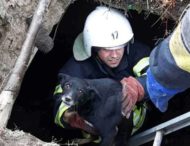 На Дніпропетровщині рятувальники допомогли пухнастому сімейству (фото)