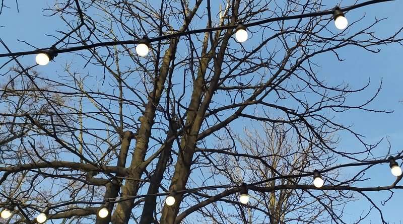 Погода у Дніпрі на середу, 8 грудня 2021 року Погода у Дніпрі на середу, 8 грудня 2021 року