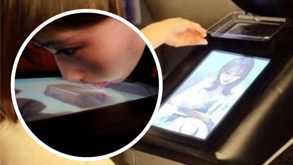 В Японии создали «вкусный» телевизор (видео) В Японии создали «вкусный» телевизор (видео)