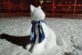 На Днепропетровщине появилась необычная скульптура из снега (фото)