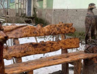 Житель Кривого Рога создает деревянные скульптуры в виде сказочных героев (фото)