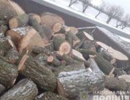 На Дніпропетровщині затримали «чорних» лісорубів