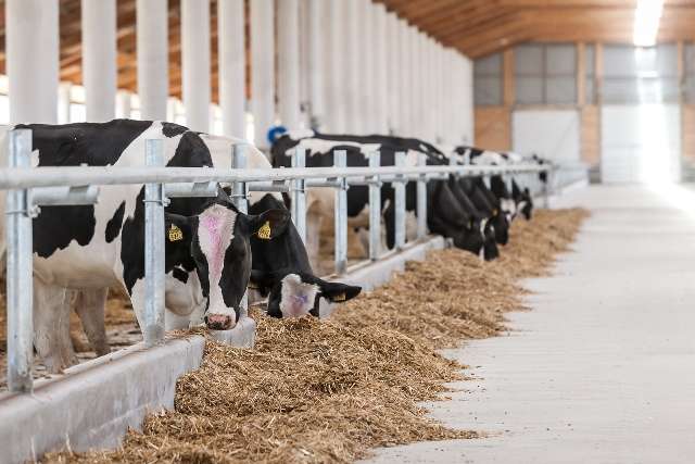 В громаде Днепропетровщины будут готовить будущих фермеров В громаде Днепропетровщины будут готовить будущих фермеров