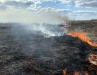 На Дніпропетровщині впродовж доби надзвичайники гасили пожежі в екосистемах