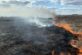 На Дніпропетровщині впродовж доби надзвичайники гасили пожежі в екосистемах