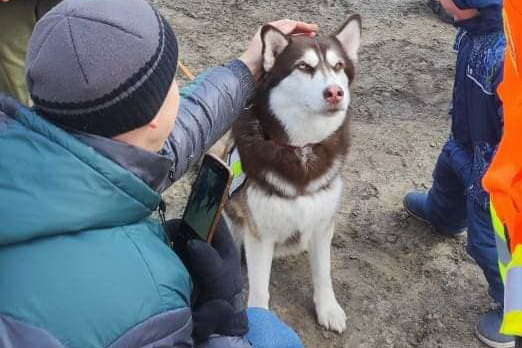 Кинологи Днепропетровщины провели собакотерапию для беженцев (фото) Кинологи Днепропетровщины провели собакотерапию для беженцев (фото)