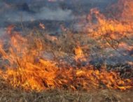 Рятувальники Дніпропетровщини закликають мешканців не спалювати сухостій