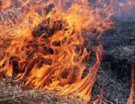 В усіх районах Дніпропетровщини сталися пожежі в екосистемах