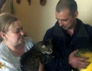 На Дніпропетровщині співробітники ДСНС врятували пухнастика