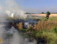 У Дніпропетровській області почастішали загорання в екосистемах