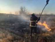 Жителям Дніпропетровщини за спалювання листя загрожує кримінальна відповідальність