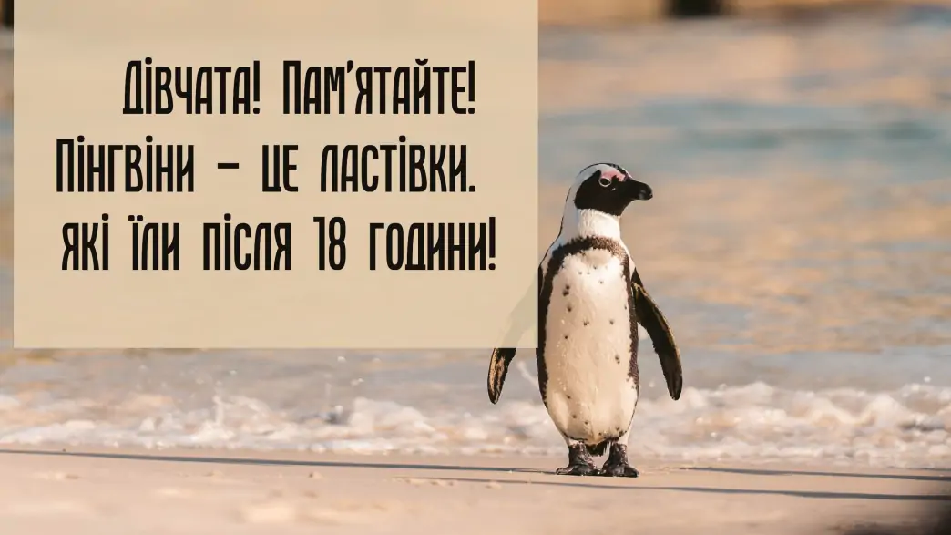 Перший крок до схуднення зроблений — я погладшав: смішні жарти про дієту