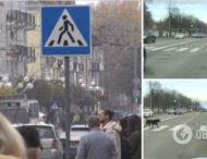 В Киеве заметили собак, которые переходили дорогу соблюдая ПДД. Забавное видео