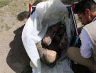 “Хуаніта спить зі мною”: у сумці доставщика їжі знайшли 800-річну мумію