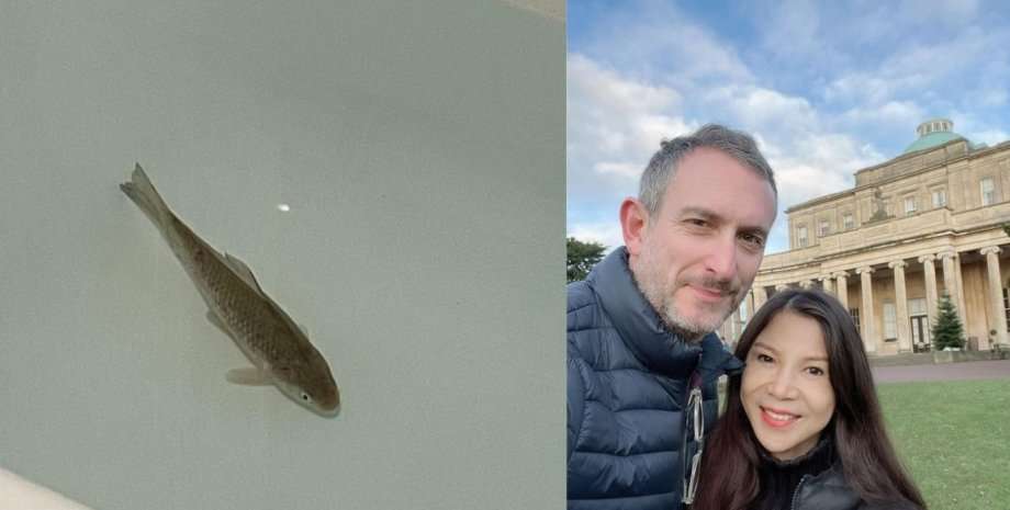 Мог стать ужином, но получил дом и семью: невероятная история спасения карася Лазаря Мог стать ужином, но получил дом и семью: невероятная история спасения карася Лазаря