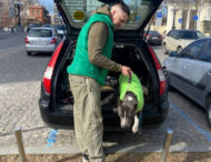 У Дніпрі пес працює таксистом: як реагують пасажири