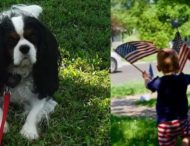Незвичайні вибори: у США собаку обрали почесним мером міста після козла