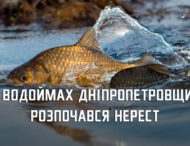 На Дніпропетровщині стартували нерестові обмеження на вилов риби