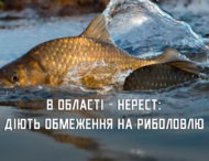З початку квітня на Дніпропетровщині затримали понад 100 порушників правил рибальства