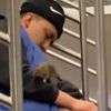 Пацюк у вагоні метро заліз на сплячого пасажира (ВІДЕО)