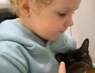 Маленька дівчинка підкорила соцмережі, поговоривши з кішкою