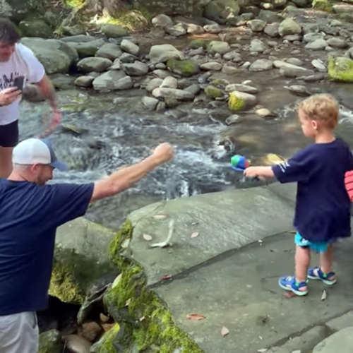 Безсовісний єнот вкрав рибу у маленького рибалки (ВІДЕО) Безсовісний єнот вкрав рибу у маленького рибалки (ВІДЕО)