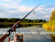 На Дніпропетровщині заборонили вилов та продаж риби