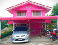 Молода жінка пофарбувала будинок у рожевий колір та оточила себе рожевими аксесуарами (ФОТО)