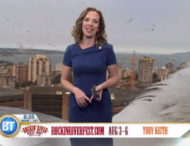 Курйоз в ефірі: гігантська чайка зірвала прогноз погоди (відео)