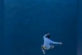 Відео: пасажир зістрибнув з 11 поверху круїзного лайнера заради “лайків”