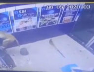 В Індії мавпа зламала банкомат (відео)