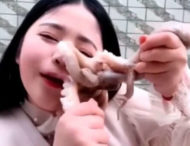 Восьминіг жорстоко помстився за спробу з’їсти його живцем (відео)