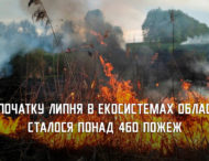 З початку місяця екосистеми Дніпропетровщини горіли більш ніж 460 разів