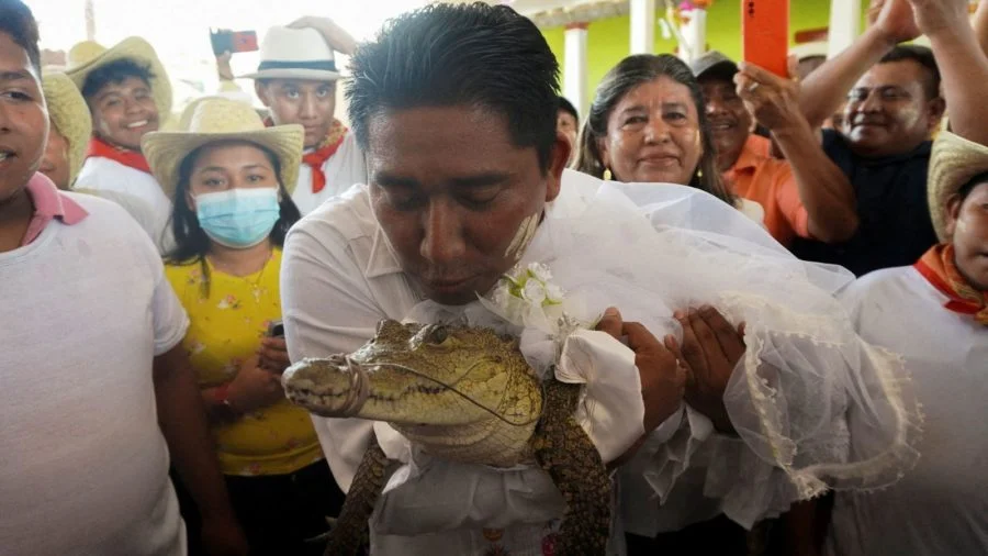 Мер міста у Мексиці «одружився» з крокодилом – традицію вшановують протягом 230 років