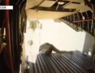 Комічне десантування африканських парашутистів потрапило на відео