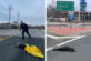 Тюлень спробував втекти від поліції, але все одно був спійманий (ФОТО)