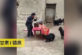Китайський фермер провів засідання з козами (відео)