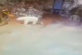 Прибиральниця у зоопарку прогнала білого ведмедя віником (відео)